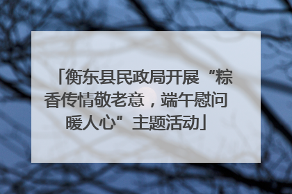 衡东县民政局开展“粽香传情敬老意，端午慰问暖人心”主题活动