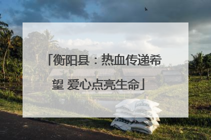 衡阳县：热血传递希望 爱心点亮生命