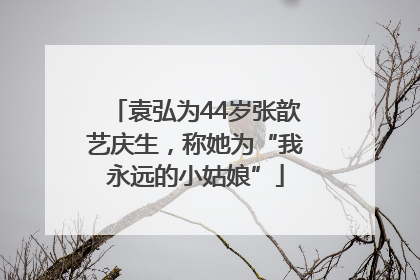 袁弘为44岁张歆艺庆生，称她为“我永远的小姑娘”