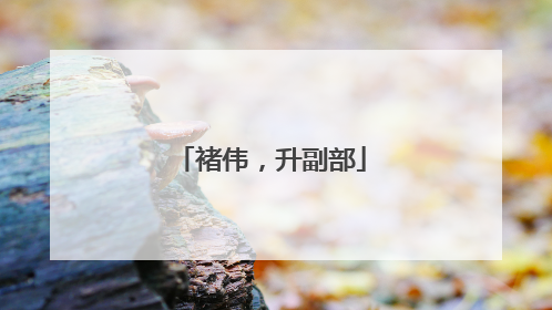 褚伟，升副部