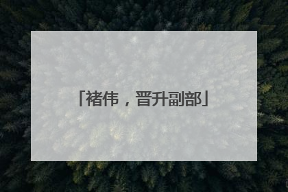褚伟，晋升副部
