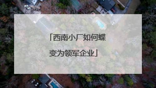 西南小厂如何蝶变为领军企业