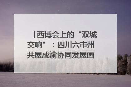 西博会上的“双城交响”：四川六市州共展成渝协同发展画卷｜西博视界