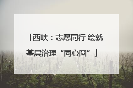 西峡:志愿同行 绘就基层治理“同心圆”