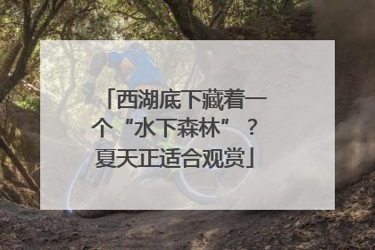 西湖底下藏着一个“水下森林”？夏天正适合观赏