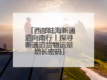 西部陆海新通道向南行丨探寻新通道货物运量增长密码