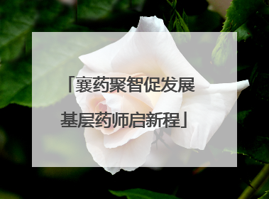 襄药聚智促发展 基层药师启新程