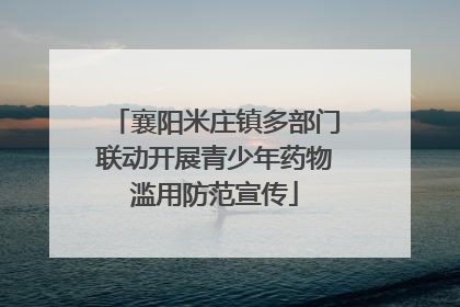 襄阳米庄镇多部门联动开展青少年药物滥用防范宣传