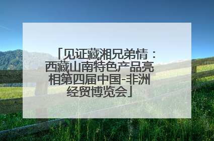 见证藏湘兄弟情：西藏山南特色产品亮相第四届中国-非洲经贸博览会