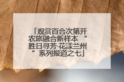 观赏百合次第开 农旅融合新样本 “胜日寻芳·花漾兰州”系列报道之七