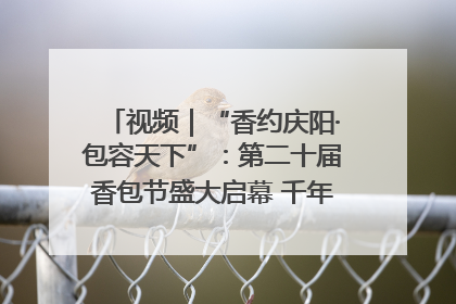 视频｜“香约庆阳·包容天下”：第二十届香包节盛大启幕 千年非遗香飘世界