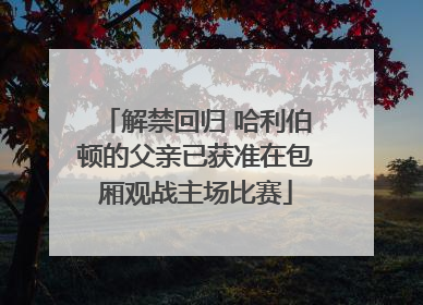 解禁回归 哈利伯顿的父亲已获准在包厢观战主场比赛