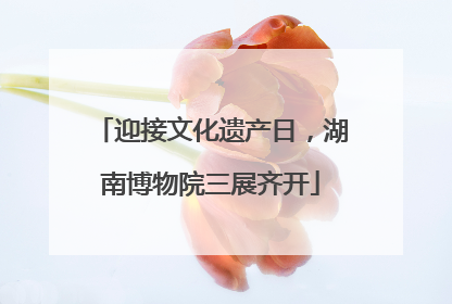迎接文化遗产日，湖南博物院三展齐开