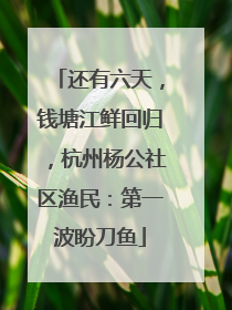 还有六天，钱塘江鲜回归，杭州杨公社区渔民：第一波盼刀鱼