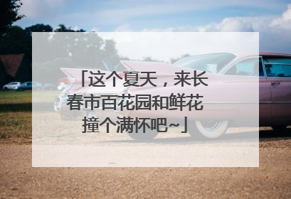 这个夏天，来长春市百花园和鲜花撞个满怀吧~
