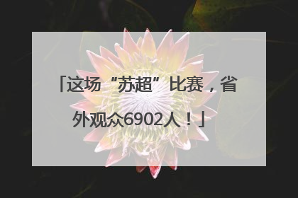 这场“苏超”比赛，省外观众6902人！