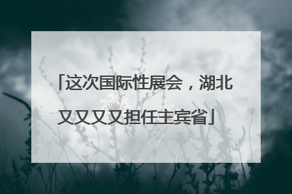 这次国际性展会，湖北又又又又担任主宾省