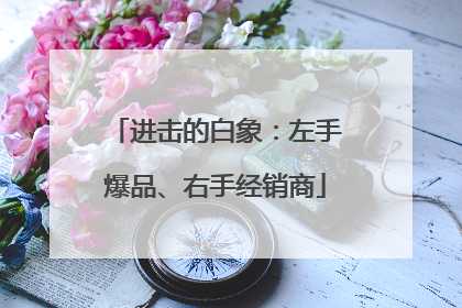 进击的白象：左手爆品、右手经销商