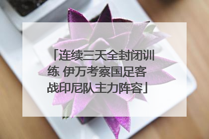 连续三天全封闭训练 伊万考察国足客战印尼队主力阵容