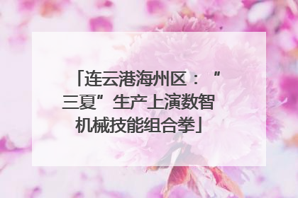 连云港海州区：“三夏”生产上演数智机械技能组合拳