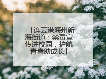 连云港海州新海街道：禁毒宣传进校园，护航青春助成长