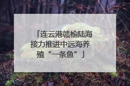 连云港赣榆陆海接力推进中远海养殖“一条鱼”
