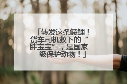 转发这条鲮鲤！货车司机救下的“胖宝宝”，是国家一级保护动物！