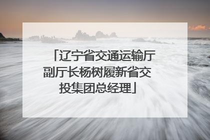 辽宁省交通运输厅副厅长杨树履新省交投集团总经理