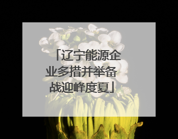 辽宁能源企业多措并举备战迎峰度夏