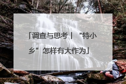 调查与思考丨“特小乡”怎样有大作为