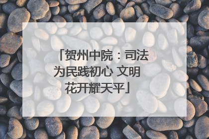 贺州中院：司法为民践初心 文明花开耀天平