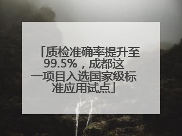 质检准确率提升至99.5%，成都这一项目入选国家级标准应用试点