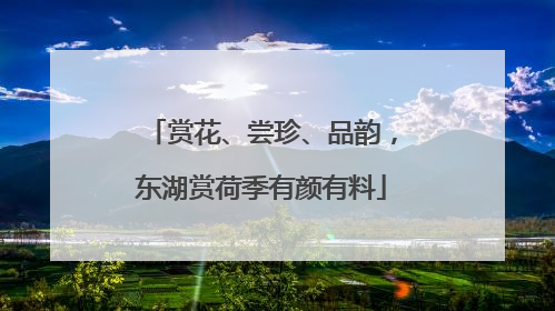 赏花、尝珍、品韵，东湖赏荷季有颜有料