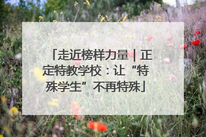 走近榜样力量｜正定特教学校：让“特殊学生”不再特殊