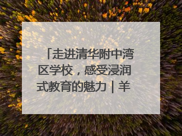 走进清华附中湾区学校，感受浸润式教育的魅力｜羊城名校行