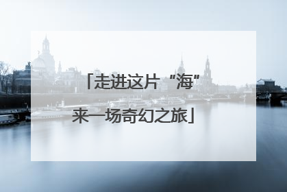 走进这片“海”来一场奇幻之旅