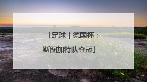 足球｜德国杯：斯图加特队夺冠