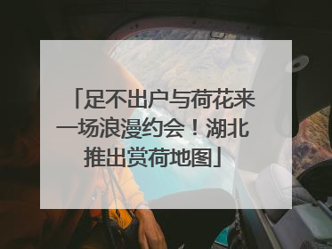 足不出户与荷花来一场浪漫约会！湖北推出赏荷地图