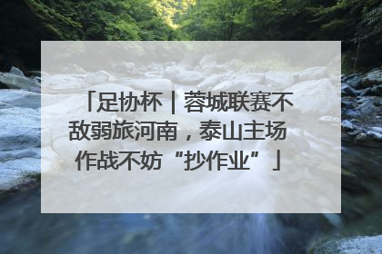 足协杯｜蓉城联赛不敌弱旅河南，泰山主场作战不妨“抄作业”
