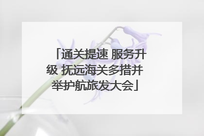 通关提速 服务升级 抚远海关多措并举护航旅发大会
