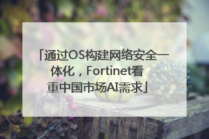 通过OS构建网络安全一体化，Fortinet看重中国市场AI需求