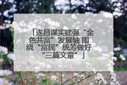 遂昌谋实建强“金色共富”发展轴 围绕“富民”统筹做好“三篇文章”