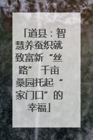 道县：智慧养蚕织就致富新“丝路” 千亩桑园托起“家门口”的幸福