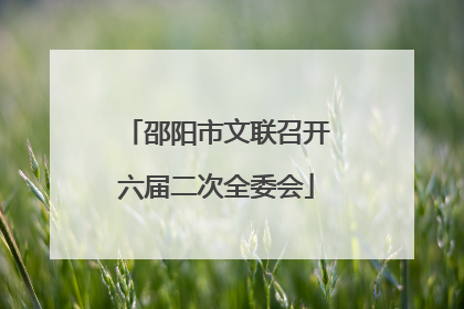 邵阳市文联召开六届二次全委会