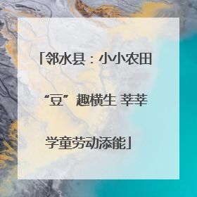 邻水县：小小农田“豆”趣横生 莘莘学童劳动添能