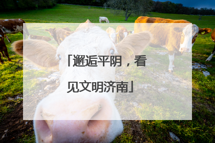 邂逅平阴，看见文明济南