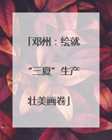 邓州：绘就“三夏”生产壮美画卷