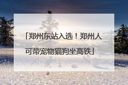 郑州东站入选！郑州人可带宠物猫狗坐高铁