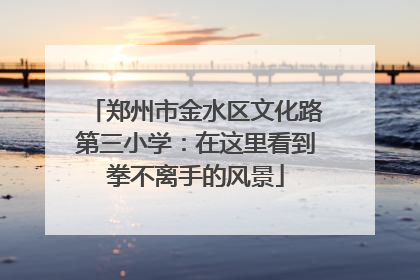 郑州市金水区文化路第三小学：在这里看到拳不离手的风景