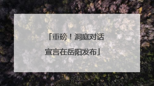重磅！洞庭对话宣言在岳阳发布